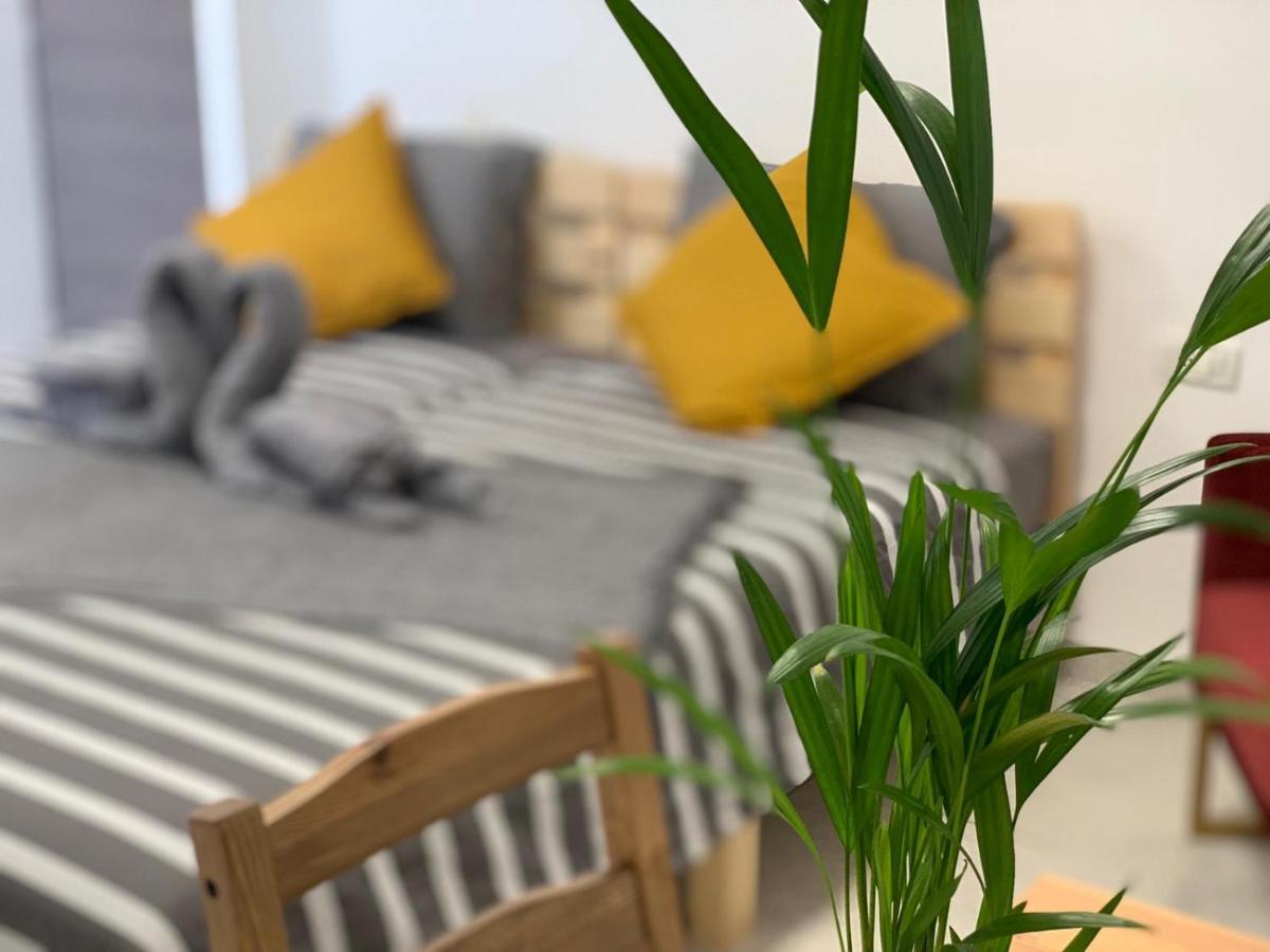 Maya New Guest House -Panoramic Sea&Citycentre View, חיפה מראה חיצוני תמונה